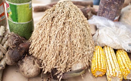 Cará, arroz, milho e feijão foram algumas das variedades encontradas na feira Cará, arroz, milho e feijão foram algumas das variedades encontradas na feira